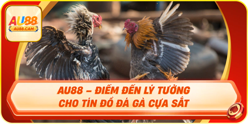 Au88 – điểm đến lý tưởng cho tín đồ đá gà cựa sắt